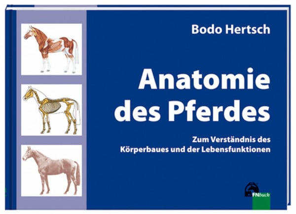 Bodo Hertsch Anatomie des Pferdes: Zum Verständnis des Körperbaues und der Lebensfunktionen