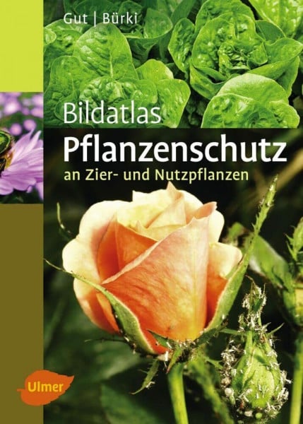 Gut, Philipp Pflanzenschutz an Zier- und Nutzpflanzen: Krankheiten und Schädlinge erkennen, vorbeugen und richtig behandeln (Bildatlanten)