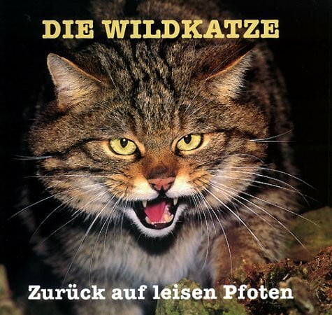 Piechocki, Rudolf Die Wildkatze: Zurück auf leisen Pfoten