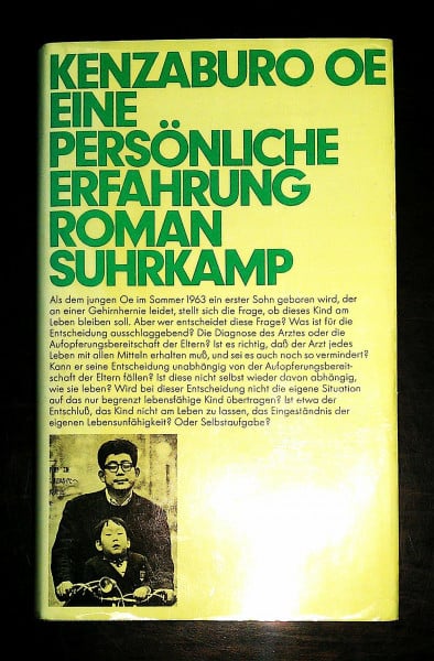 Ôe, Kenzaburô Eine persönliche Erfahrung: Roman