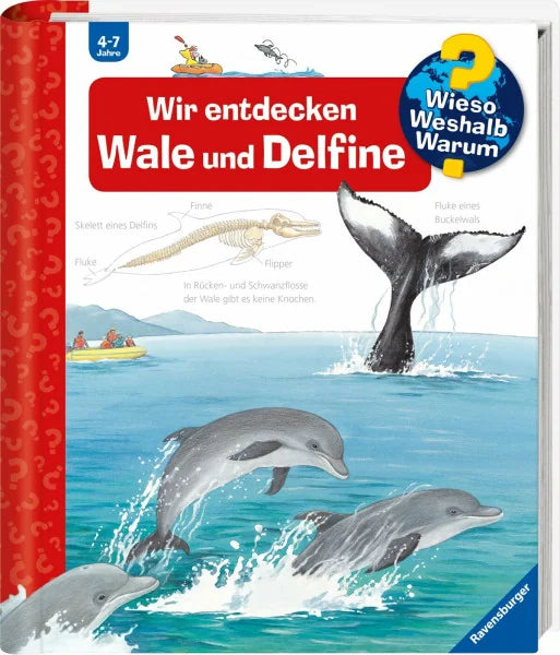 Rübel, Doris Wieso? Weshalb? Warum?, Band 41 - Wir entdecken Wale und Delfine (Sachbuch ab 4 Jahre - mit Klappen) (Kernreihe, 41)