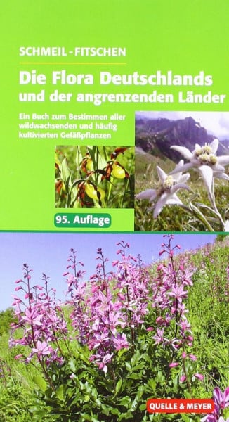 Seybold, Siegmund Schmeil/Fitschen: Die Flora Deutschlands und der angrenzenden Länder: Ein Buch zum Bestimmen aller wildwachsenden und häufig kultivierten Gefäßpflanzen