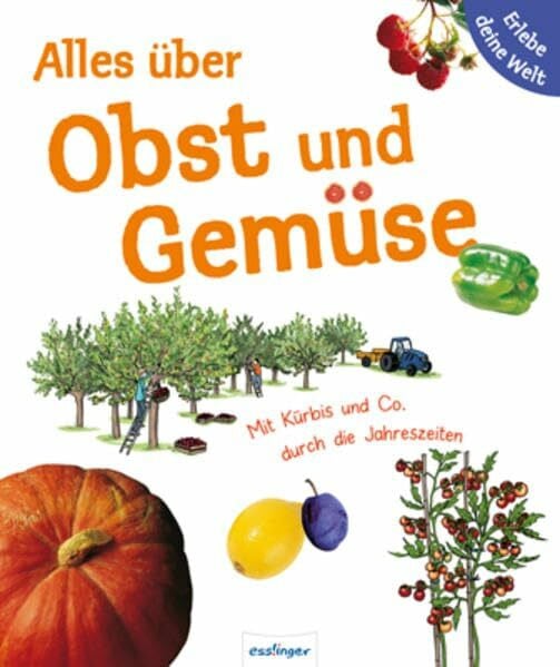 Anne Brauner Alles über Obst und Gemüse. Erlebe deine Welt: Mit Kürbis & Co. durch die Jahreszeiten