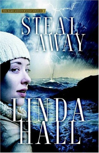 Hall, Linda Steal Away (Teri Blake-addison Mystery Series, Band 1)