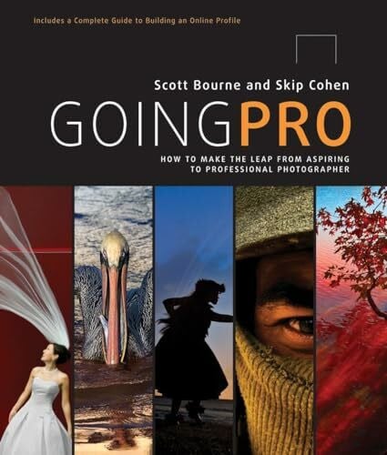 Cohen, Skip Going Pro: How to Make the Leap from Aspiring to Professional Photographer