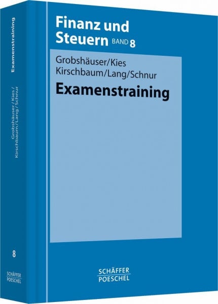Schnur, Peter Examenstraining (Finanz und Steuern)