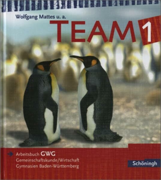 Mattes, Wolfgang TEAM GWG - Arbeitsbücher für Gemeinschaftskunde und Wirtschaft an Gymnasien in Baden-Württemberg - Bisherige Ausgabe: Band 1: Bildungsstandards GWG ... / Band 1: Bildungsstandards GWG Klasse 8