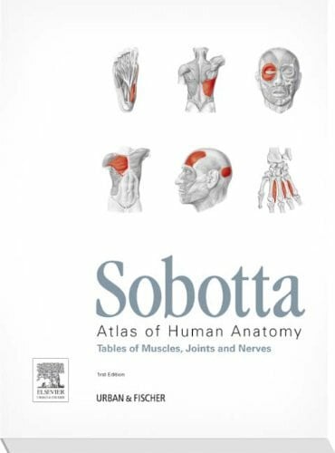 Waschke, Jens Sobotta Tabellen Holland: Tables to 15th ed. of the Sobotta Atlas (KURZLEHRBUCH - Urban & Fischer Verlag)