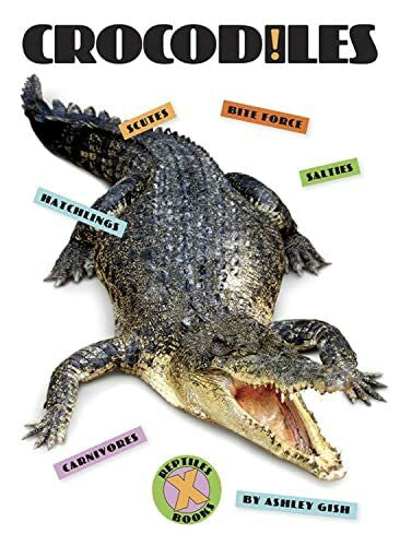Gish, Ashley Crocodiles (X-Books: Reptiles)