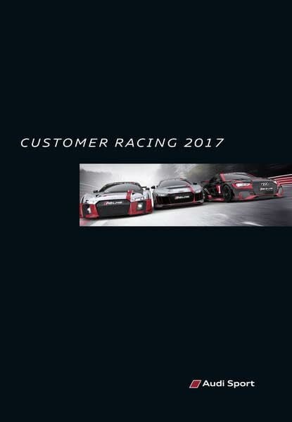 von Wegner, Alexander Audi Sport customer racing 2017: Deutsch-Englisch