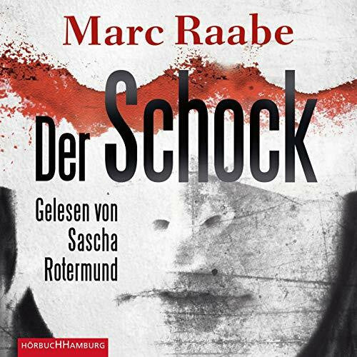 Rotermund, Sascha Der Schock: 6 CDs