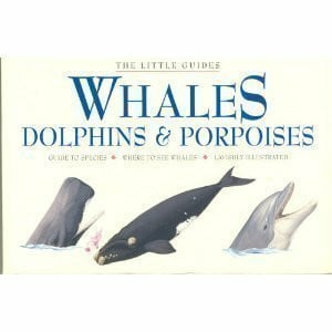 Gill, Peter Whales, Dolphins, and Porpoises (Little Guides)