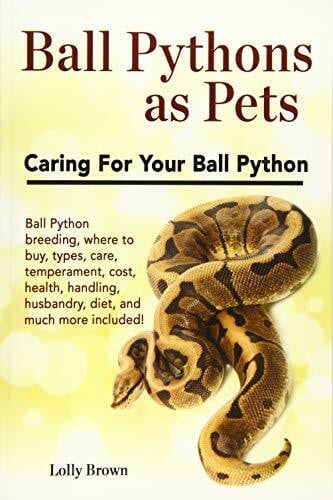 Brown, Lolly Ball Pythons as Pets: Ball Python breeding, where to buy, types, care, temperament, cost, health, handling, husbandry, diet, and much more included! Caring For Your Ball Python