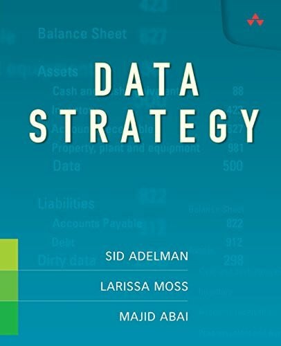 Abai, Majid Data Strategy