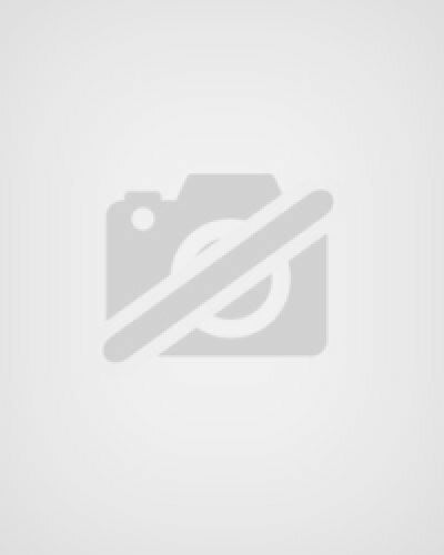 Beaumont, Digby Gen 2000 2 SB Intnl