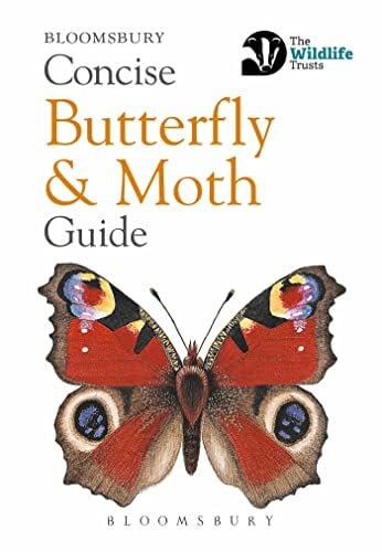 Bloomsbury Concise Butterfly and Moth Guide (Concise Guides)