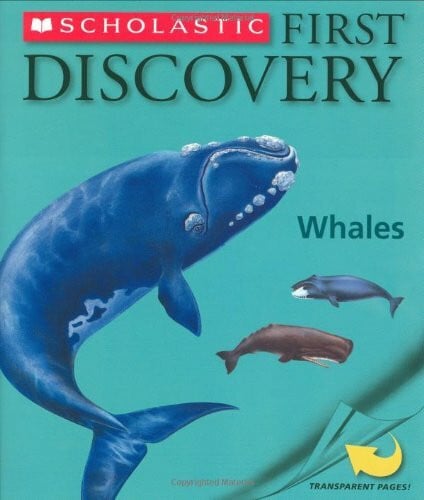 Fuhr, Ute First Discovery Whales (Scholastic First Discovery)