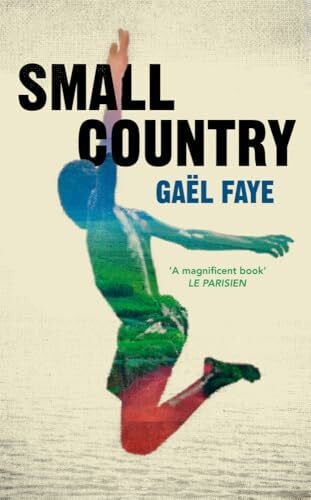 Ardizzone, Sarah Small Country: Ausgezeichnet mit dem Prix Goncourt des LycÃ©ens