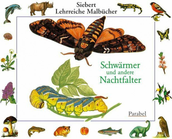 Heisters, Heinrich Schwärmer und Nachtfalter: Malbuch (Siebert Lehrreiche Malbücher)