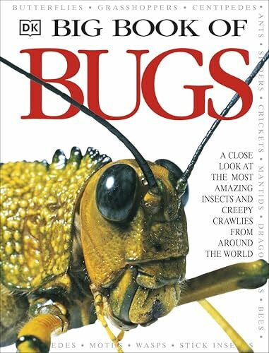 DK Big Book of Bugs (DK Big Books)