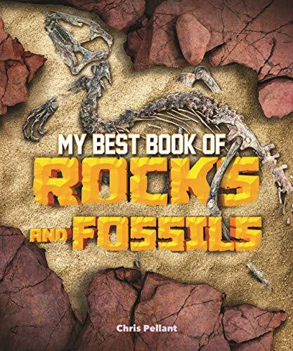 Pellant, Chris My Best Book of Rocks and Fossils