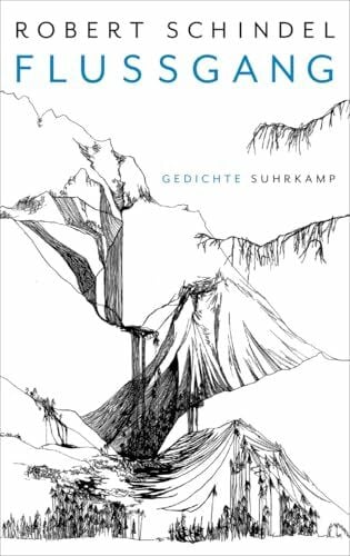 Schindel, Robert Flussgang: Gedichte