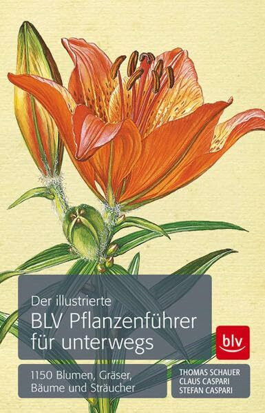 Caspari, Stefan Der illustrierte BLV Pflanzenführer für unterwegs: 1150 Blumen, Gräser, Bäume und Sträucher