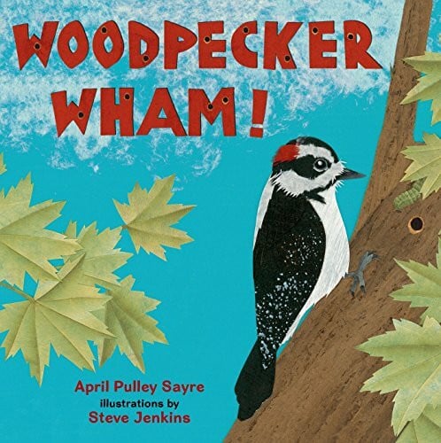 Jenkins, Steve Woodpecker Wham!