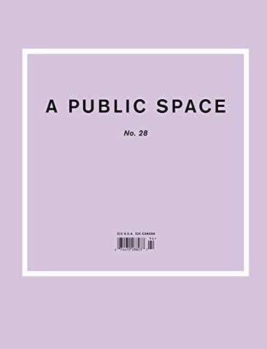 Hughes, Brigid Public Space No. 28 (A Public Space, Band 28)