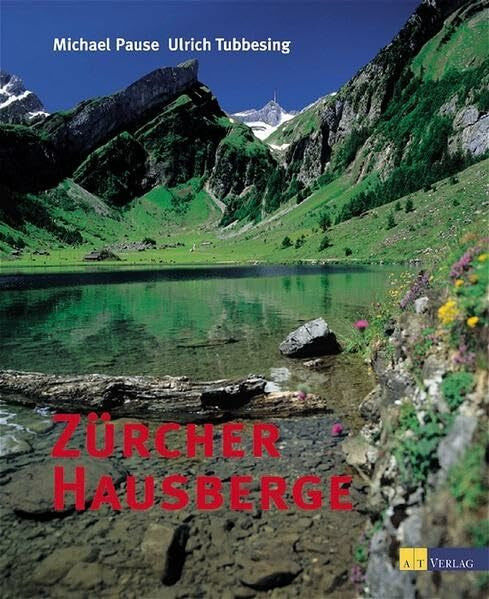Tubbesing, Ulrich Zürcher Hausberge