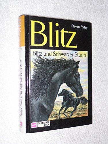 Rothfuß, Ilse Blitz, Bd.15, Blitz und Schwarzer Sturm