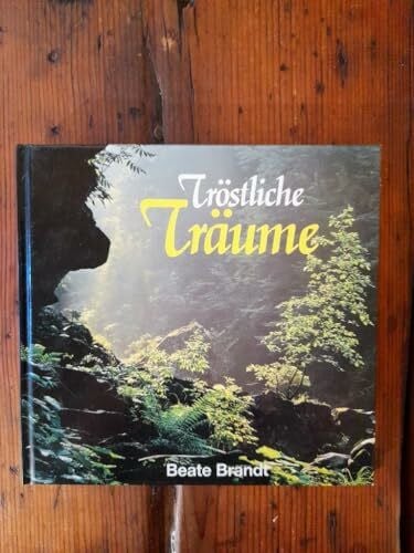 Brandt, Beate Tröstliche Träume. Ein Stundenbuch