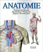 Schöninger, Carmen Anatomie. Wunderwerk Mensch: Knochenbau - Muskulatur - Organe - Nervensystem
