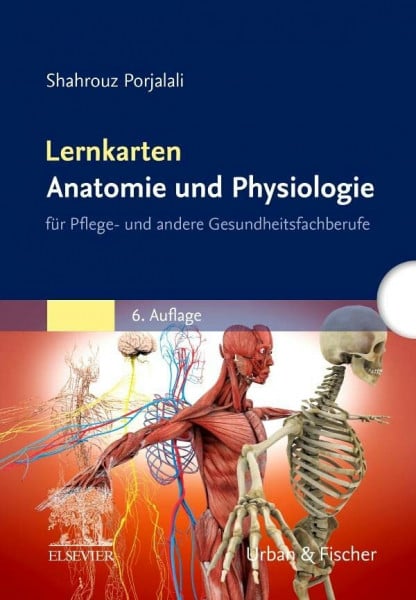 Porjalali, Shahrouz Lernkarten Anatomie und Physiologie: für Pflege- und andere Gesundheitsfachberufe