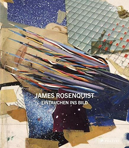 Holert, Tom James Rosenquist: Eintauchen ins Bild
