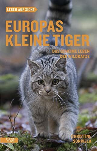 Christine Sonvilla Europas kleine Tiger: Das geheime Leben der Wildkatze