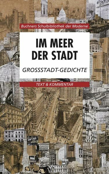 Hotz, Karl Buchners Schulbibliothek der Moderne / Im Meer der Stadt: Text & Kommentar / Großstadt-Gedichte (Buchners Schulbibliothek der Moderne: Text & Kommentar)