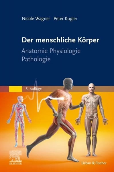Kugler, Peter Der menschliche Körper: Anatomie Physiologie Pathologie (PFLEGE - Lehrbuch - Urban & Fischer Verlag)