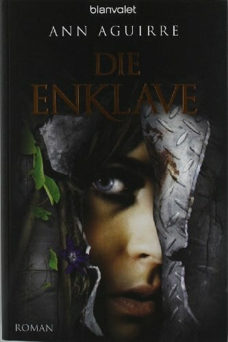 Pfingstl, Michael Die Enklave: Roman