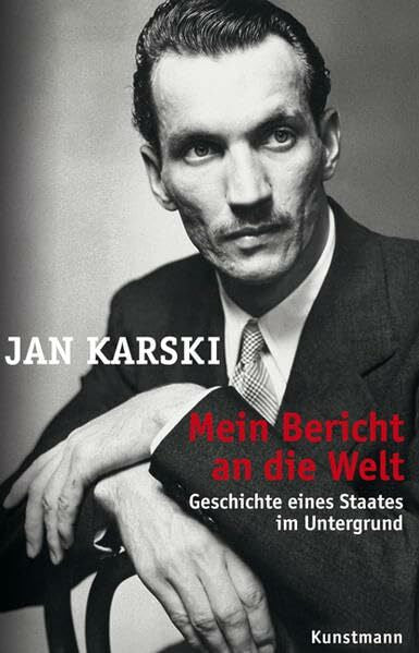 Franka Reinhart Mein Bericht an die Welt: Geschichte eines Staates im Untergrund