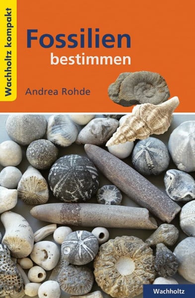 Andrea Rohde Fossilien bestimmen KOMPAKT (Wachholtz Kompakt)