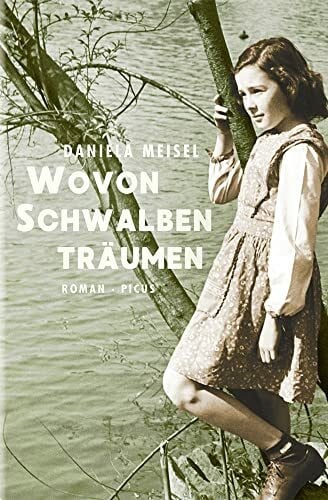 Daniela Meisel Wovon Schwalben träumen: Roman