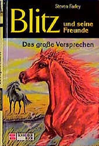 Rothfuß, Ilse Blitz und seine Freunde, Bd.1, Das große Versprechen