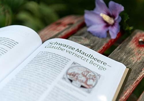 Häusl, Maria Vom Garten Eden bis zu Salomos Weinberg: Pflanzen der Bibel