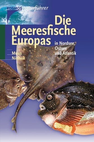 Stehmann, Matthias Die Meeresfische Europas in Nordsee, Ostsee und Atlantik