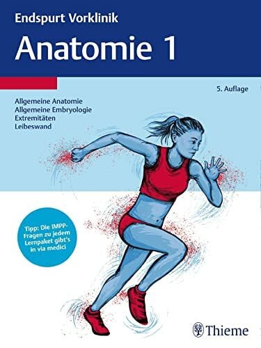 Thieme Endspurt Vorklinik: Anatomie 1: Die Skripten fürs Physikum