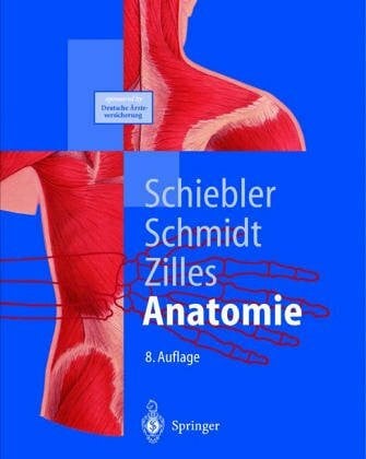 Zilles Anatomie