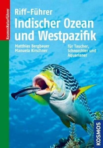 Kirschner, Manuela Riff-Führer Indischer Ozean und Westpazifik