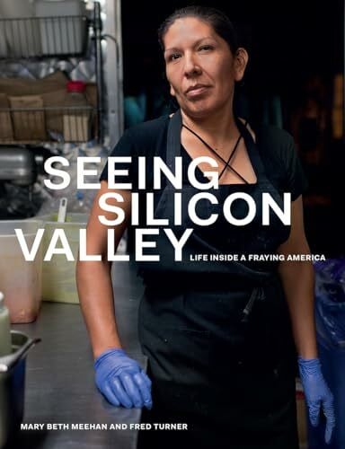 Meehan, Mary Beth Seeing Silicon Valley: Life Inside a Fraying America