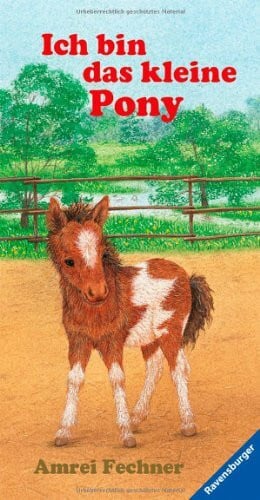 Fechner, Amrei Ich bin das kleine Pony: Mit neuer Rechtschreibung